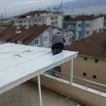 Sandviç Panel Çatı